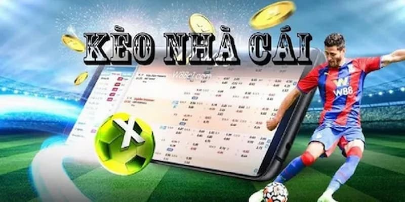 Lợi ích khi giới thiệu trang kèo nhà cái