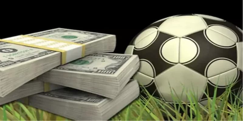 Sai lầm khi soi kèo nhà cái net88