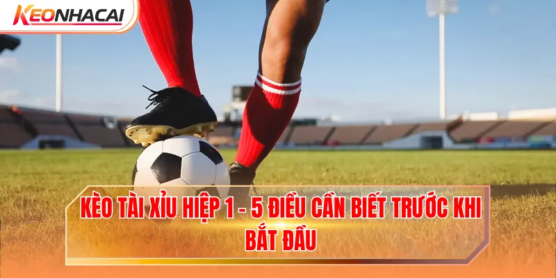 Kèo Tài Xỉu Hiệp 1 - 5 Điều Cần Biết Trước Khi Bắt Đầu