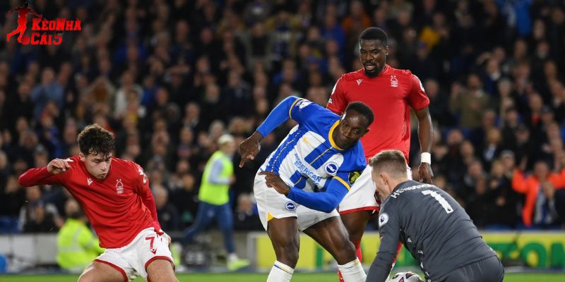 Brighton vs Nottingham đều hướng tới giành 3 điểm